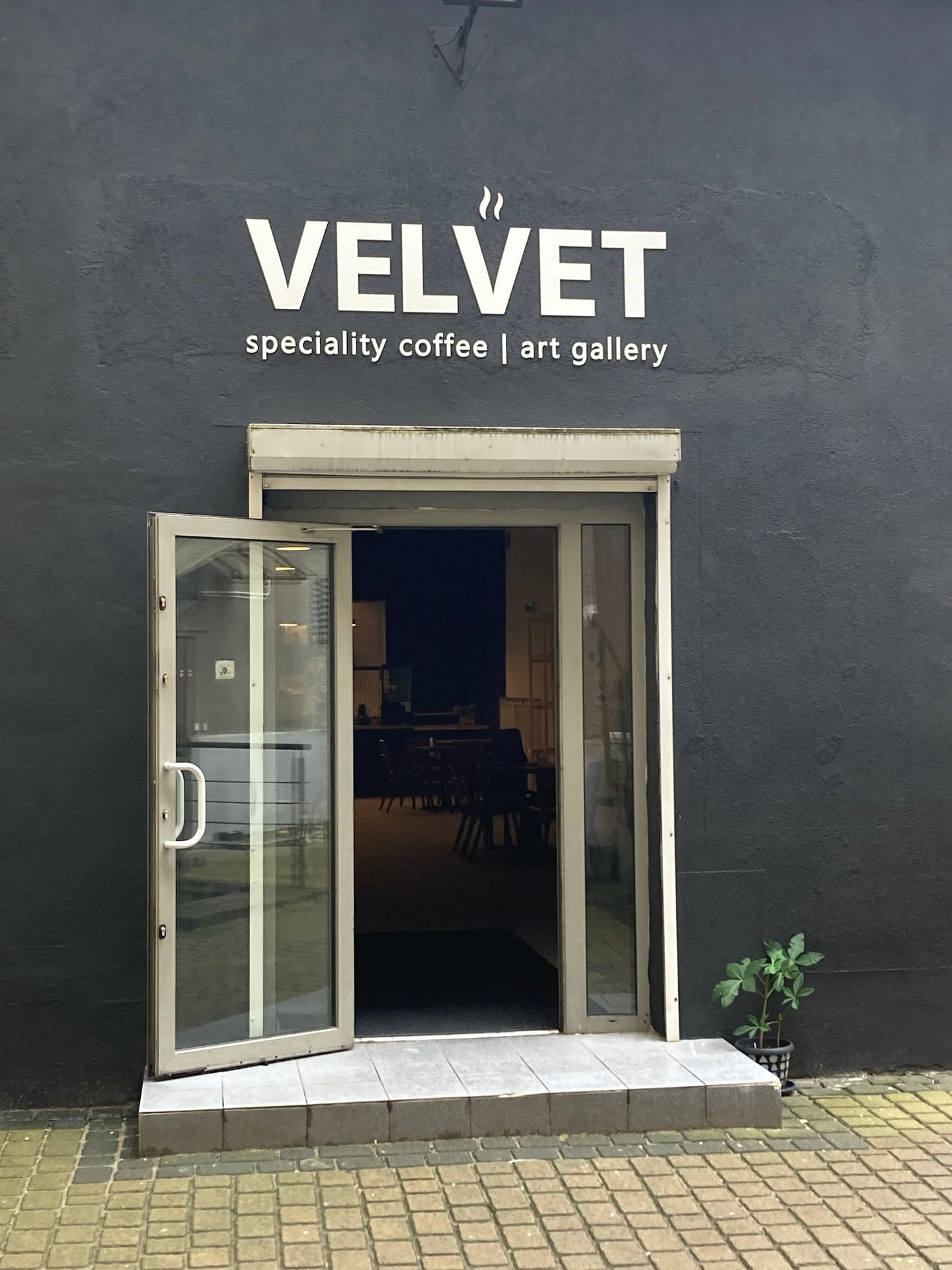 VELVET speciality coffee | art gallery