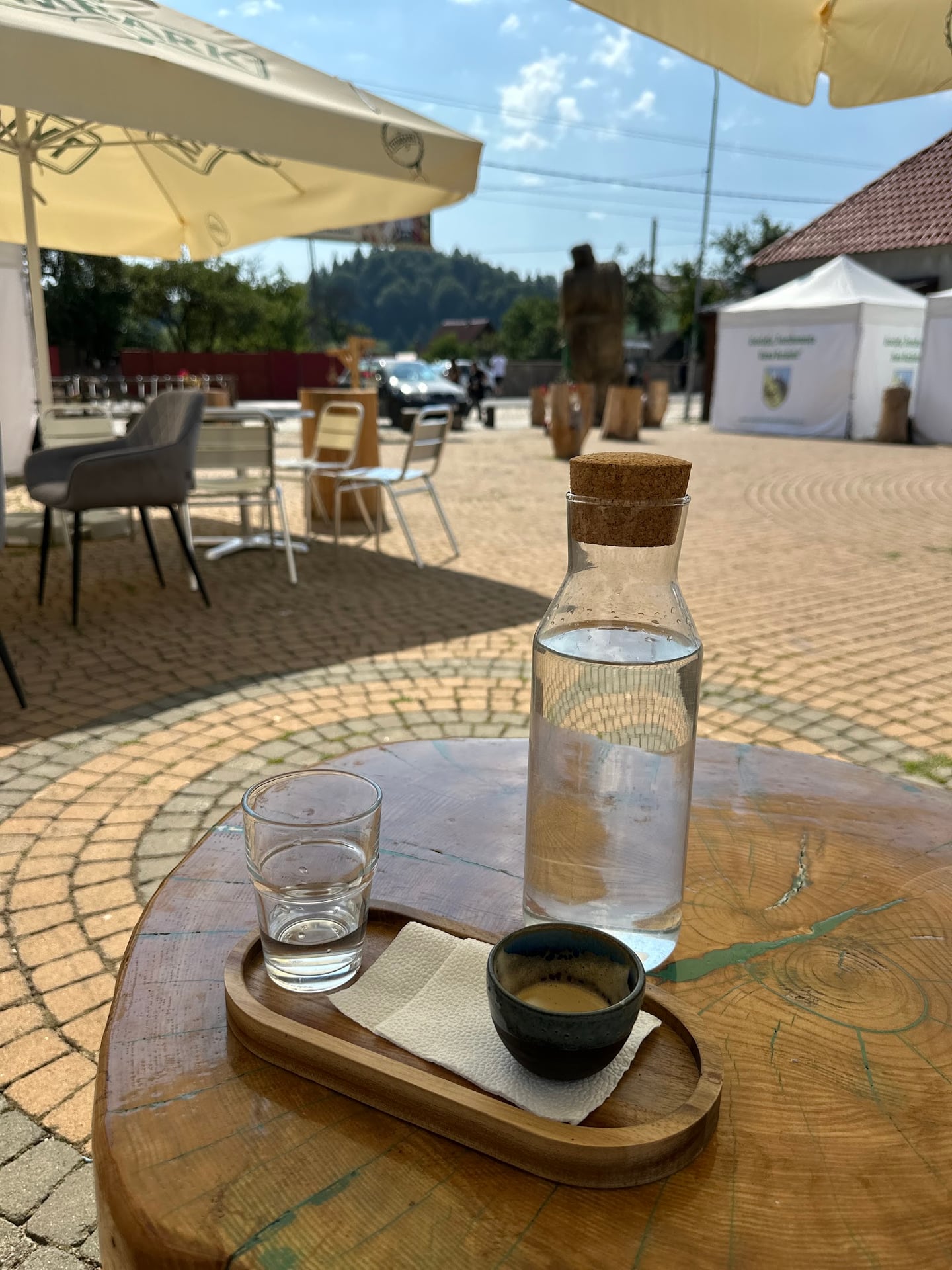 Vama Buzăului