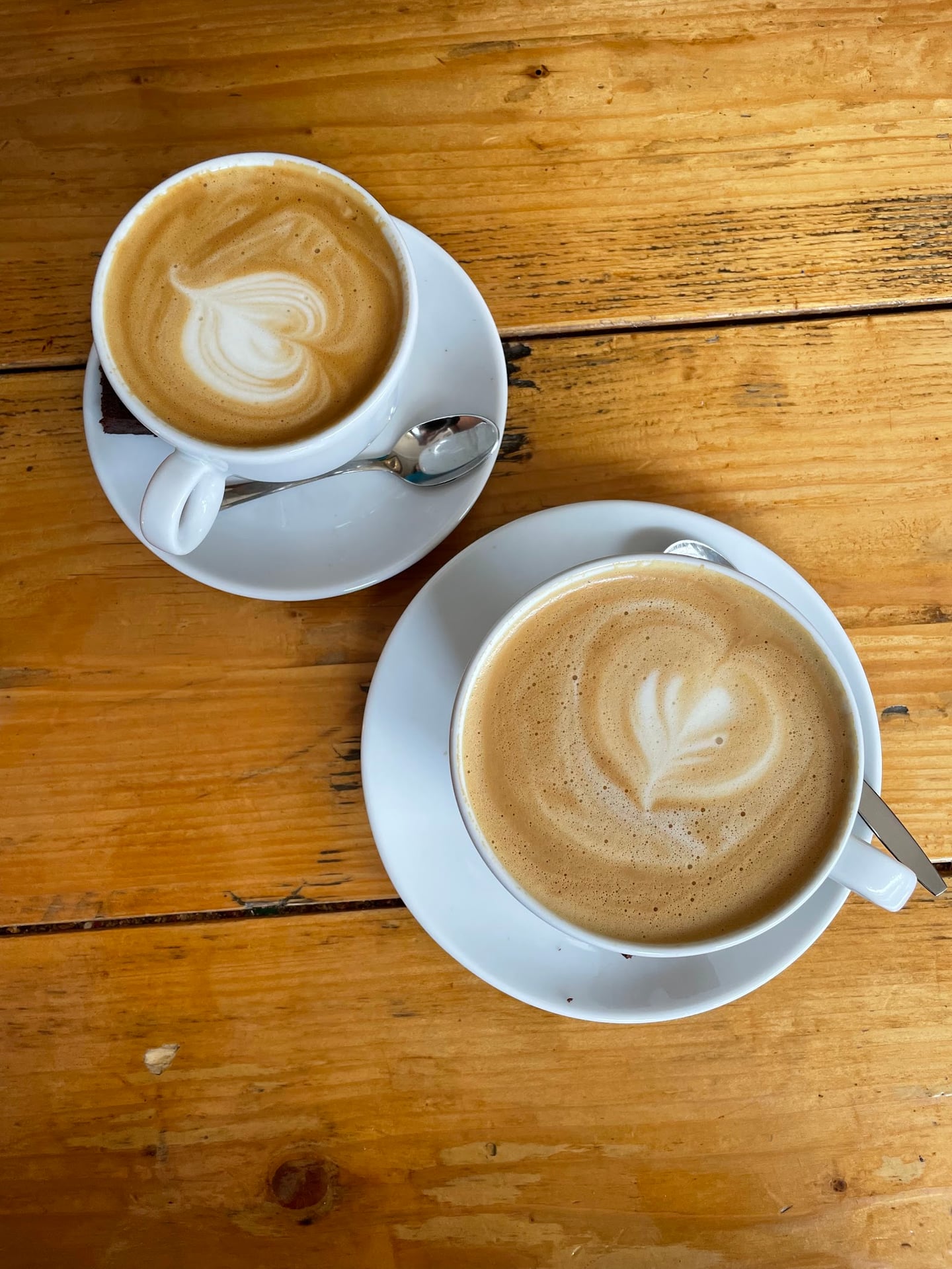 Photo of Café Locals