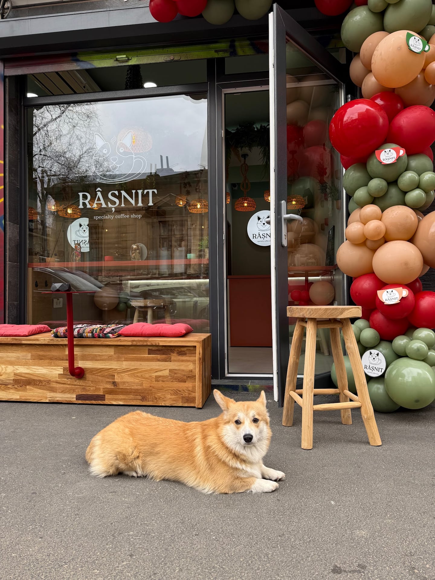 Photo of Rasnit Specialty Coffee Shop