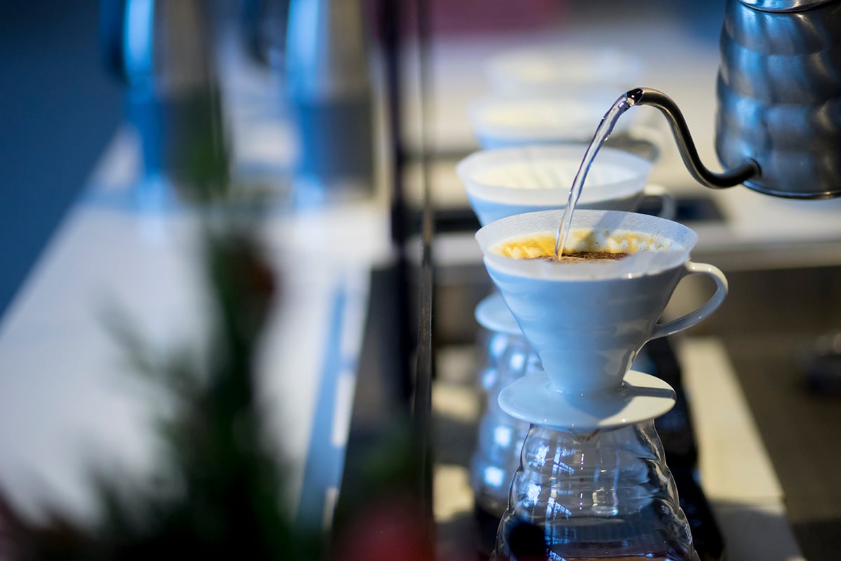 Photo of Intelligentsia