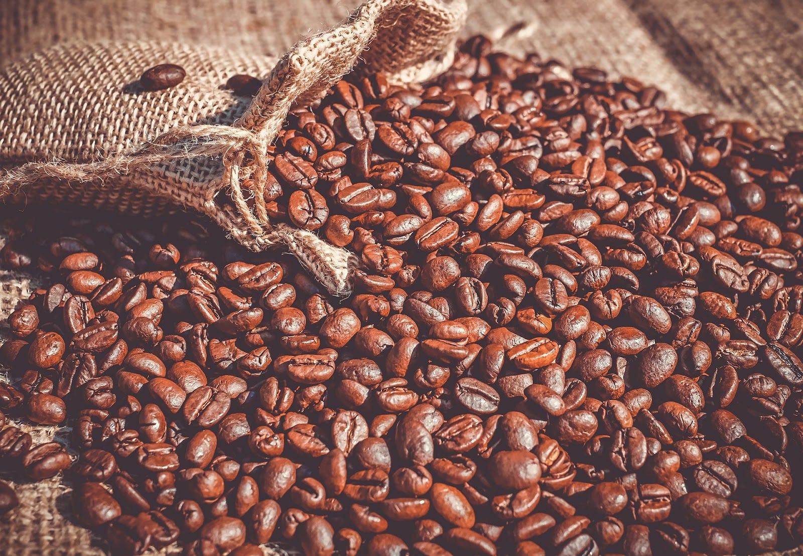 Photo of Alchemists Coffee - Coffee Lab