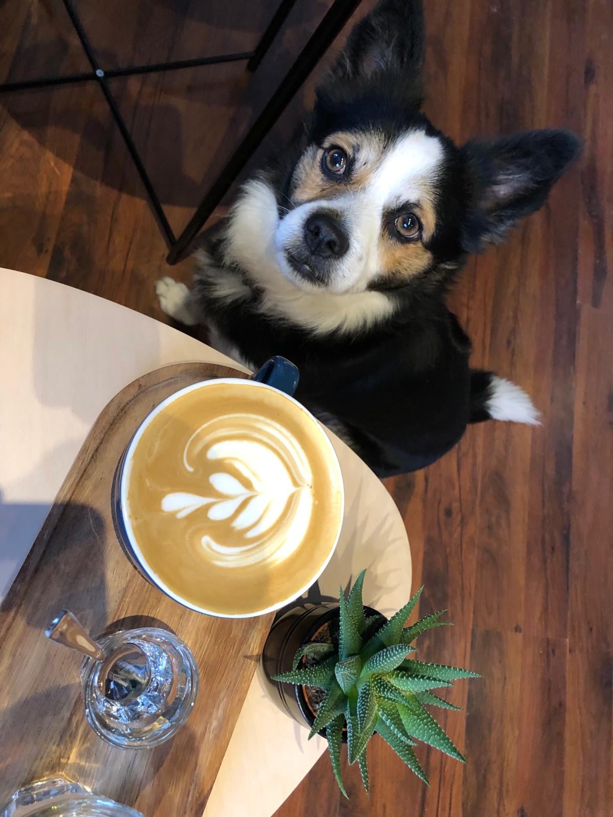 Photo of Nativo Specialty Coffee