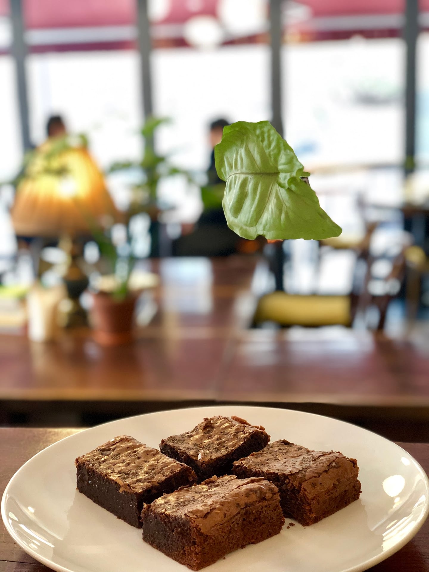 Photo of 커피스트