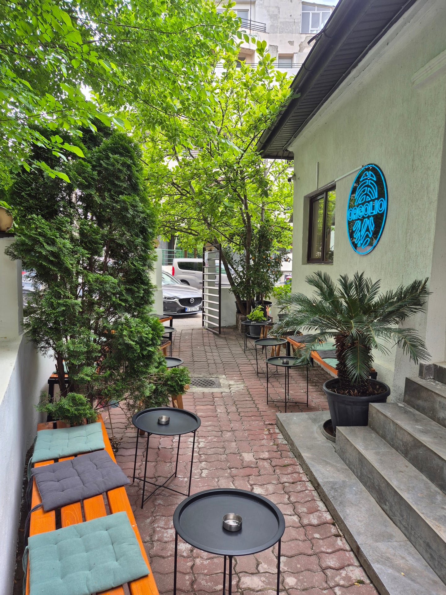 Orgolio Specialty Coffee