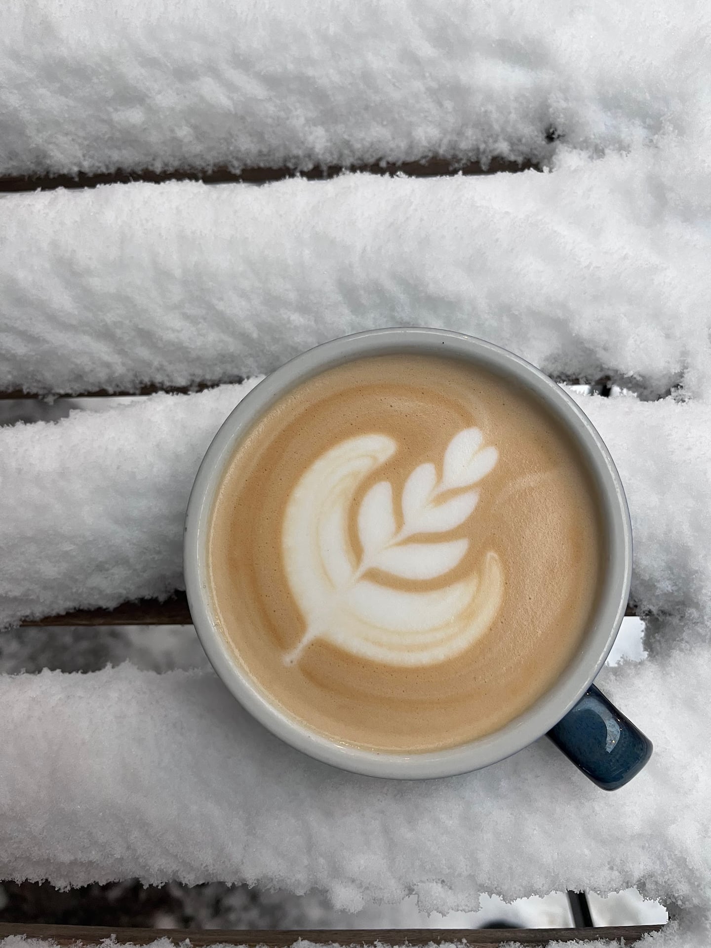 Photo of Kaffeine III.