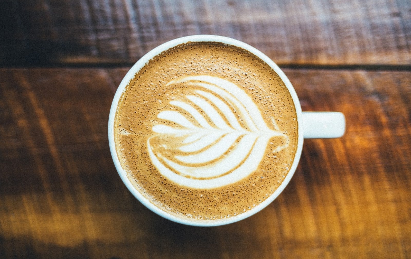 Photo of Utopía Café