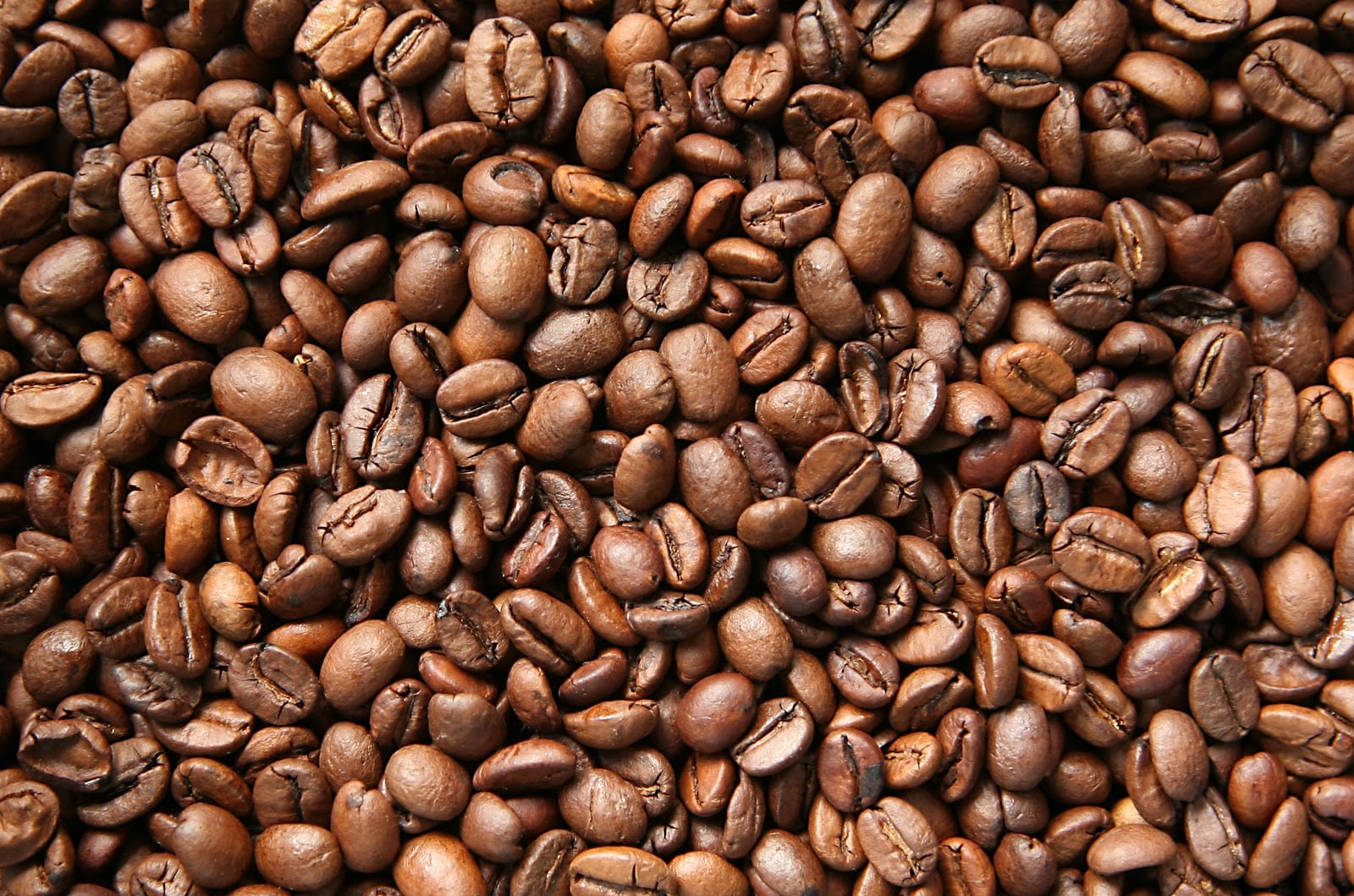 Photo of 12-inch CofFee