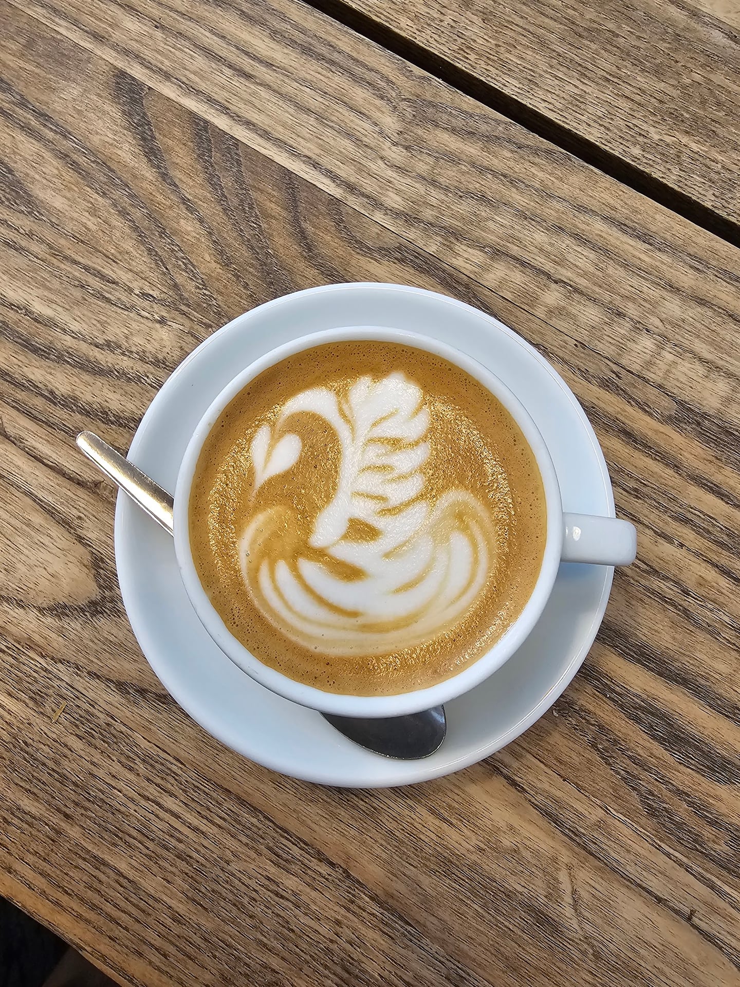 Photo of Store Street Espresso
