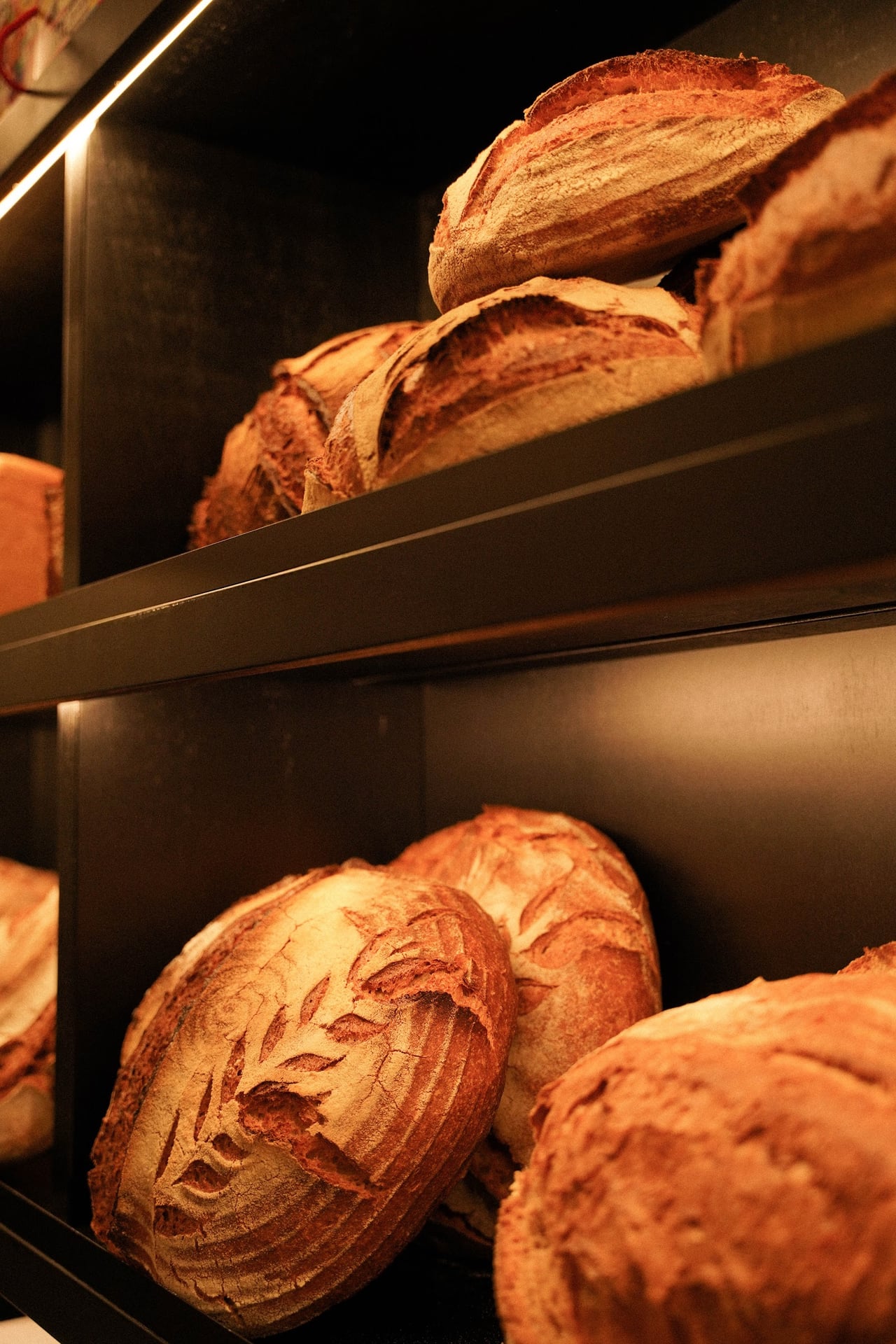 Photo of Forno Brisa Laura Bassi - Bakery & Specialty Coffee