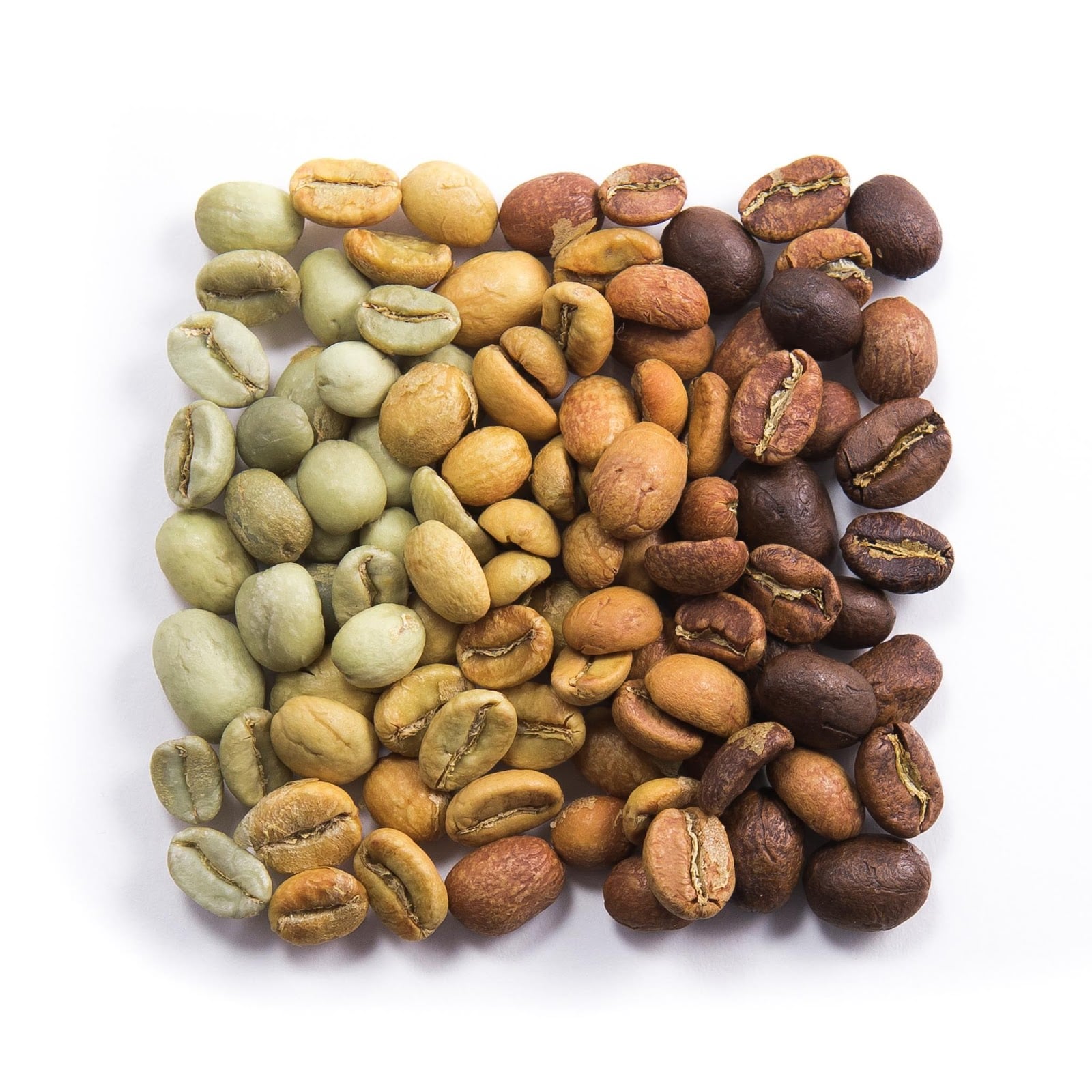 Photo of The Beans on Fire
